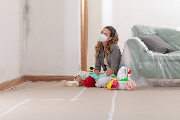 Reliable Mold Removal contractor in Lombard, IL by WQB Mold Removal